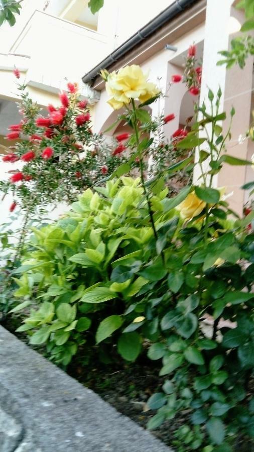 Apartments Ivanovski راب المظهر الخارجي الصورة