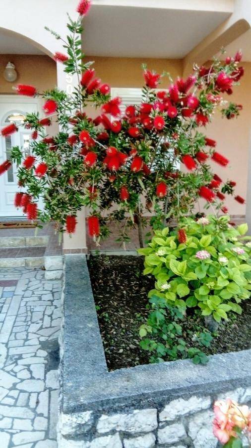 Apartments Ivanovski راب المظهر الخارجي الصورة